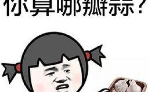 你是哪个市的领导什么意思什么梗 抖阴你是哪个市的领导含义出处介绍