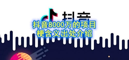 抖阴8000万的项目是什么梗 抖阴8000万的项目梗含义出处介绍