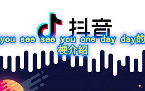 you see see you one day day的是什么意思 you see see you one day day的梗介绍