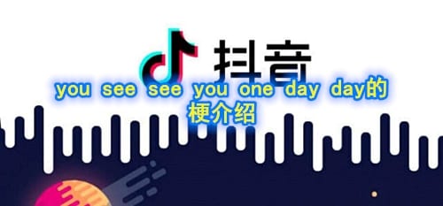you see see you one day day的是什么意思 you see see you one day day的梗介绍