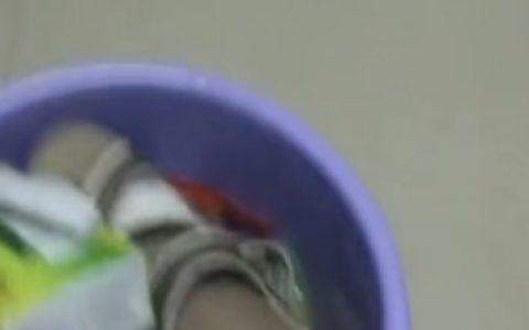 抖阴宝龙电子厂挑战失败是什么梗 电子厂挑战失败含义来源出处介绍