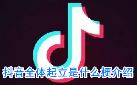 抖阴全体起立是什么意思 全体起立是什么梗