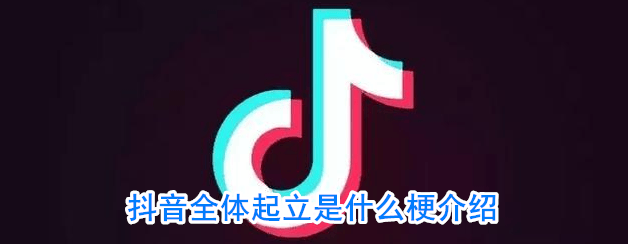 抖阴全体起立是什么意思 全体起立是什么梗