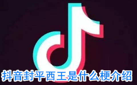 抖阴封平西王是什么梗 封平西王是什么意思