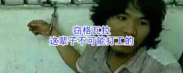 窃格瓦拉这辈子不可能打工的什么意思 周某这辈子不可能打工的梗
