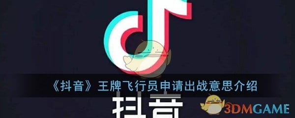 抖阴王牌飞行员申请出战是什么意思 王牌飞行员申请出战意思介绍
