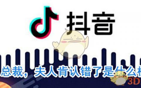 总裁，夫人肯认错了是什么梗 总裁，夫人肯认错了是什么意思