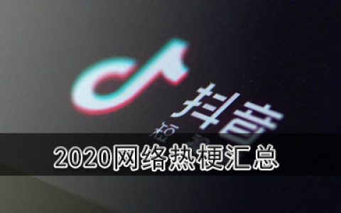 2020网络热梗有哪些 抖阴梗合集2020