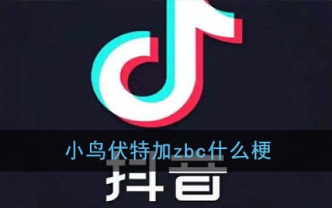 小鸟伏特加zbc什么梗 小鸟伏特加zbc出处意思详解