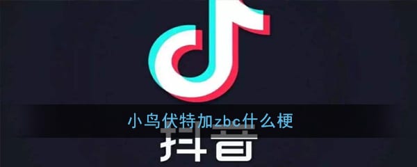 小鸟伏特加zbc什么梗 小鸟伏特加zbc出处意思详解