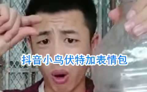 哈拉少表情包 小鸟伏特加表情包