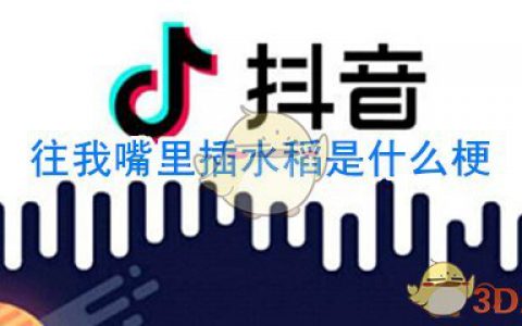 往我嘴里插水稻什么梗 直接在我嘴里种水稻什么意思