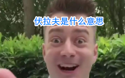 伏拉夫是什么意思 伏拉夫怎么了