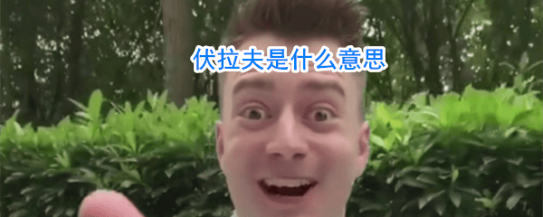 伏拉夫是什么意思 伏拉夫怎么了