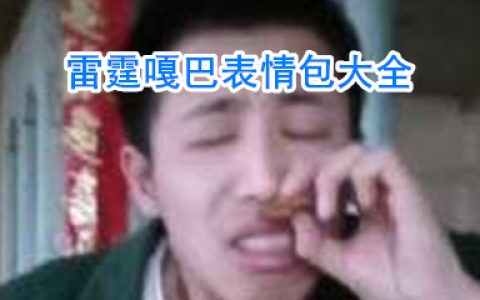 雷霆嘎巴表情包 无情哈拉少表情包