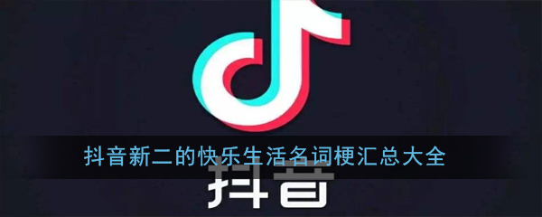 抖阴新二的快乐生活名词梗有哪些 新二的快乐生活名词梗汇总大全图