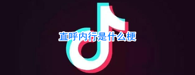 直呼内行什么梗 直呼内行什么意思
