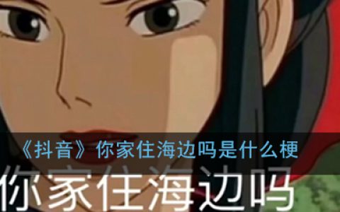 抖阴你家住海边吗是什么梗 你家住海边啊下一句意思出处介绍