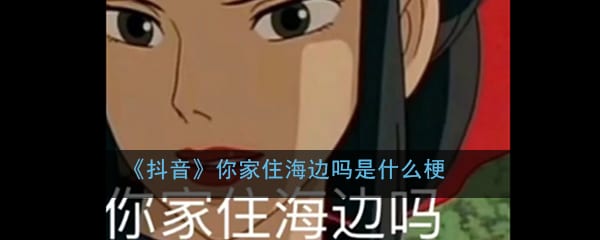 抖阴你家住海边吗是什么梗 你家住海边啊下一句意思出处介绍