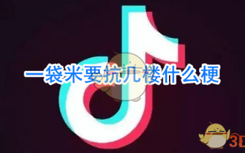 一袋米要抗几楼什么意思 一袋米要抗几楼什么梗