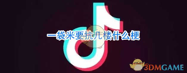 一袋米要抗几楼什么意思 一袋米要抗几楼什么梗