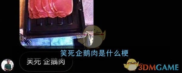 笑死企鹅肉是什么梗 笑死企鹅肉梗意思及来源出处详细介绍一览