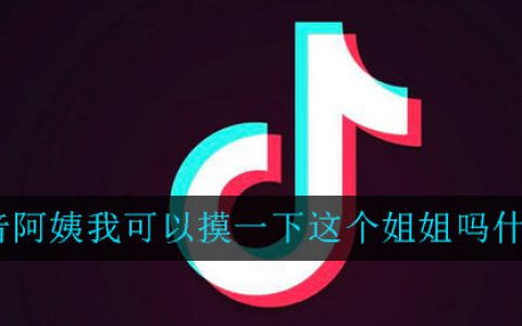 阿姨我可以摸一下这个姐姐吗什么梗 阿姨我可以摸一下这个姐姐吗