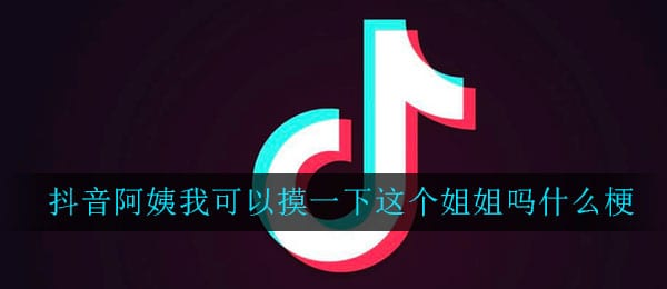 阿姨我可以摸一下这个姐姐吗什么梗 阿姨我可以摸一下这个姐姐吗