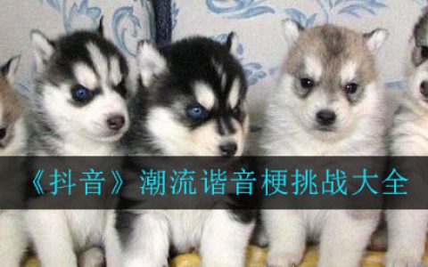抖阴谐音梗挑战句子大全 抖阴谐音梗句子大全