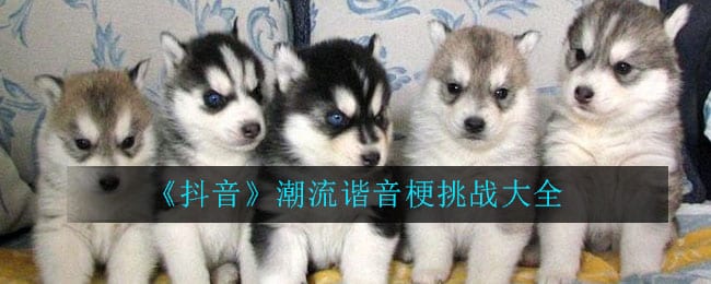 抖阴谐音梗挑战句子大全 抖阴谐音梗句子大全