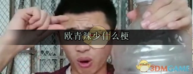 欧青辣少什么意思 欧青辣少俄语翻译