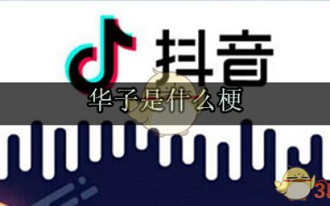 华子是个什么梗 抖阴华子什么意思