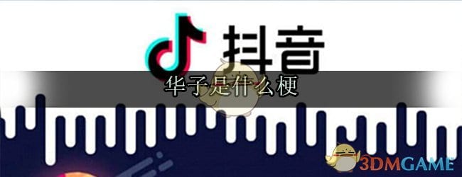 华子是个什么梗 抖阴华子什么意思