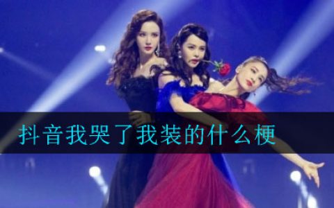 抖阴我哭了我装的什么梗 抖阴我哭了我装的梗来源