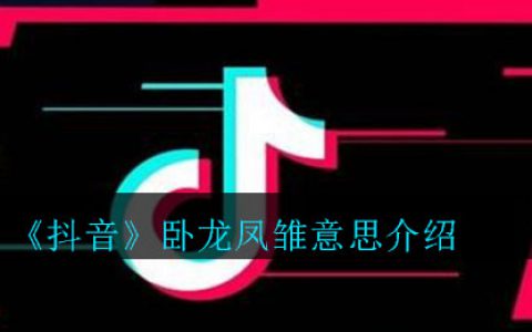 抖阴卧龙凤雏什么意思 抖阴卧龙凤雏意思介绍