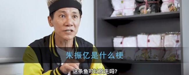 朱振亿是什么梗 朱振亿和林北什么意思