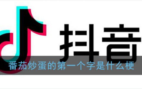 番茄炒蛋的第一个字是什么梗 抖阴评论番茄炒蛋的第一个字是什么意思