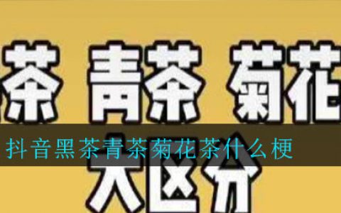 抖阴黑茶青茶菊花茶什么梗 黑茶青茶菊花茶意思介绍