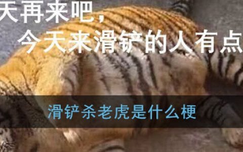 滑铲是什么梗 滑铲杀老虎是什么意思