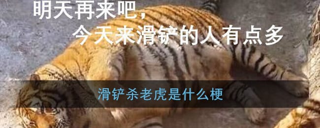 滑铲是什么梗 滑铲杀老虎是什么意思