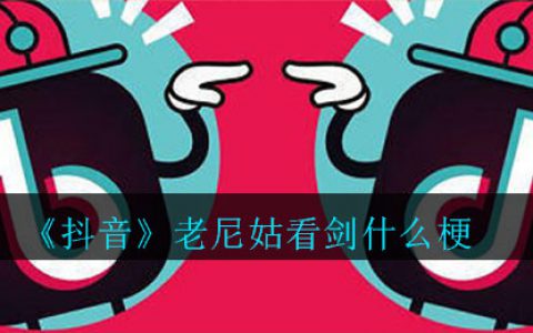 抖阴老尼姑看剑什么梗 老尼姑看剑梗的意思出处介绍