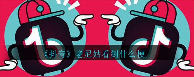 抖阴老尼姑看剑什么梗 老尼姑看剑梗的意思出处介绍