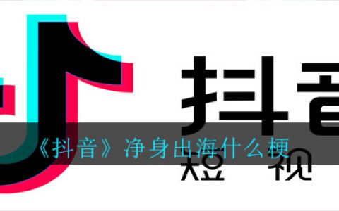 抖阴净身出海什么梗 净身出海意思介绍