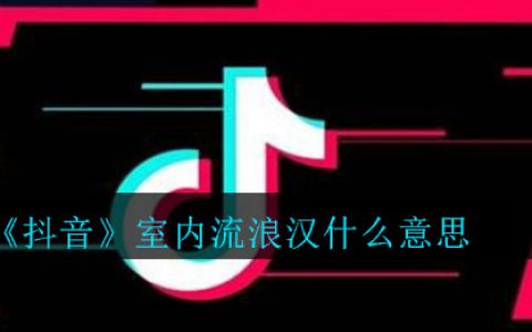 抖阴室内流浪汉什么意思 室内流浪汉意思介绍