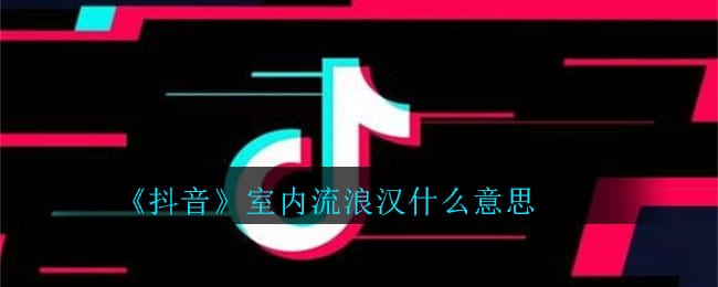 抖阴室内流浪汉什么意思 室内流浪汉意思介绍