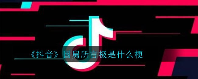 抖阴国舅所言极是什么梗 国舅所言极是意思介绍