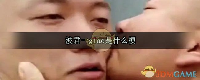 波君一giao是什么梗 波君一giao出处来源
