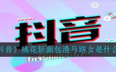 抖阴桃花斩面包渣马路女是什么梗 桃花斩面包渣马路女意思介绍