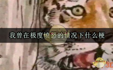 我曾在极度愤怒的情况下是什么梗 我曾在极度愤怒的情况下梗出处来源