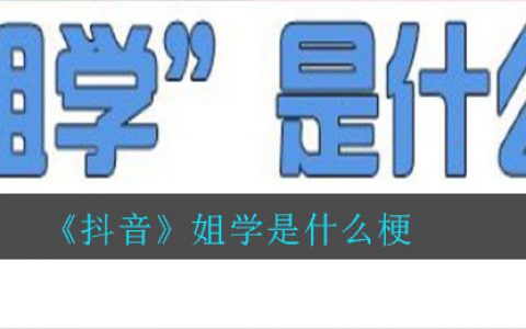 抖阴姐学是什么梗 姐学意思介绍